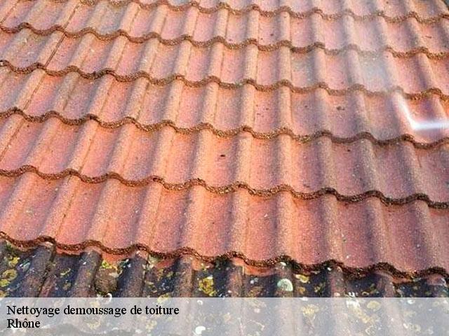 Nettoyage demoussage de toiture 69 Rhône  BOUNACH Couverture 