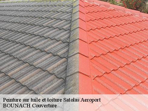 Peinture sur tuile et toiture  satolas-aeroport-69125 BOUNACH Couverture 