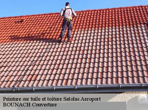 Peinture sur tuile et toiture  satolas-aeroport-69125 BOUNACH Couverture 