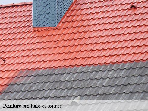 Peinture sur tuile et toiture  albigny-sur-saone-69250 BOUNACH Couverture 