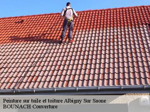 Peinture sur tuile et toiture  albigny-sur-saone-69250 BOUNACH Couverture 