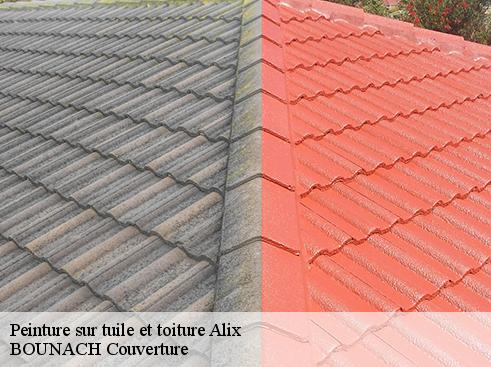 Peinture sur tuile et toiture  alix-69380 BOUNACH Couverture 