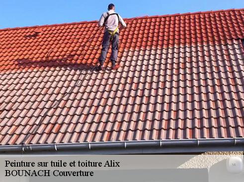 Peinture sur tuile et toiture  alix-69380 BOUNACH Couverture 