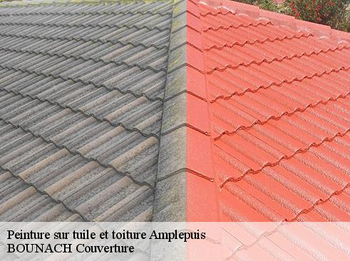 Peinture sur tuile et toiture  amplepuis-69550 BOUNACH Couverture 