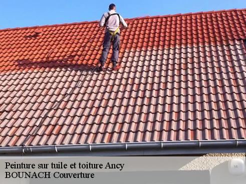 Peinture sur tuile et toiture  ancy-69490 BOUNACH Couverture 