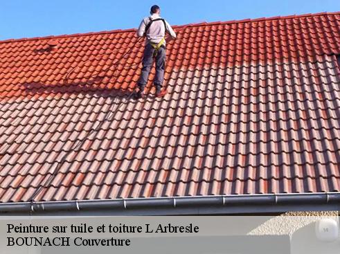 Peinture sur tuile et toiture  l-arbresle-69210 BOUNACH Couverture 