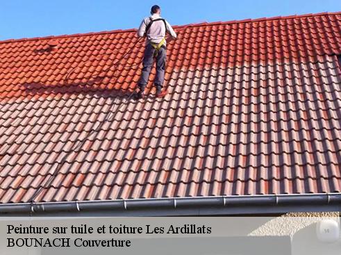 Peinture sur tuile et toiture  les-ardillats-69430 BOUNACH Couverture 