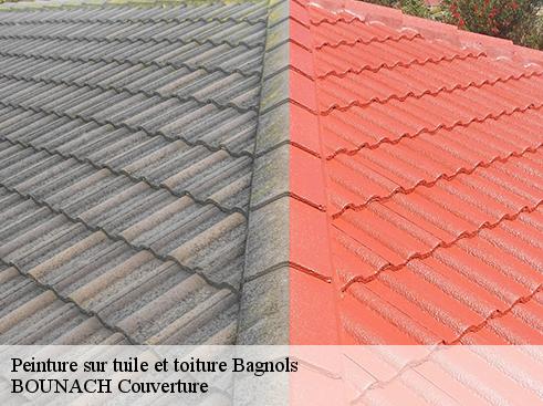 Peinture sur tuile et toiture  bagnols-69620 BOUNACH Couverture 