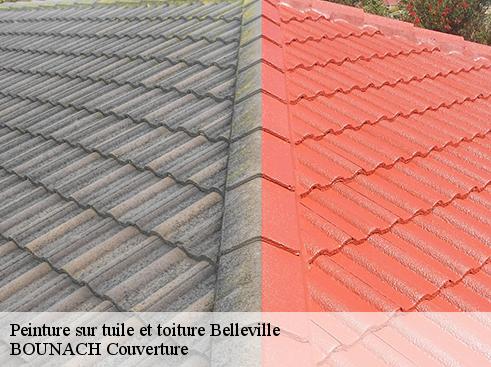 Peinture sur tuile et toiture  belleville-69220 BOUNACH Couverture 