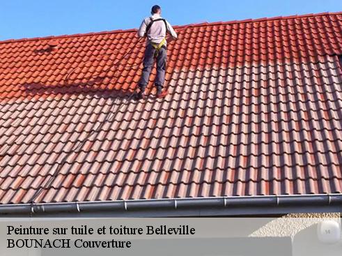 Peinture sur tuile et toiture  belleville-69220 BOUNACH Couverture 