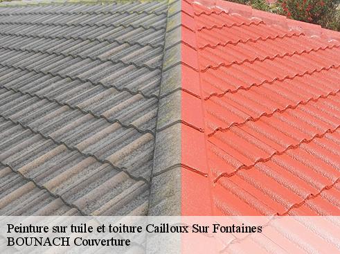 Peinture sur tuile et toiture  cailloux-sur-fontaines-69270 BOUNACH Couverture 