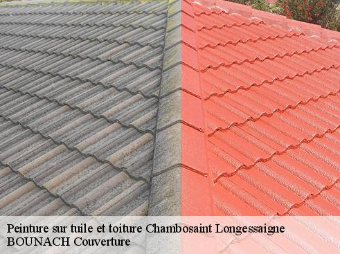 Peinture sur tuile et toiture  chambosaint-longessaigne-69770 BOUNACH Couverture 