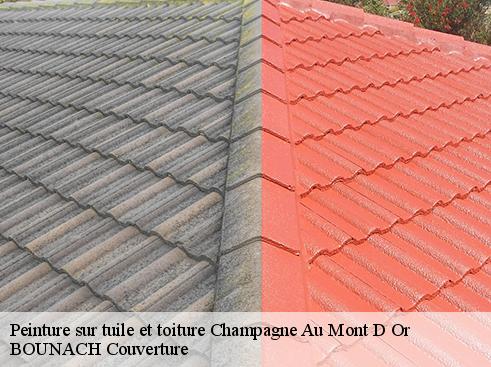 Peinture sur tuile et toiture  champagne-au-mont-d-or-69410 BOUNACH Couverture 