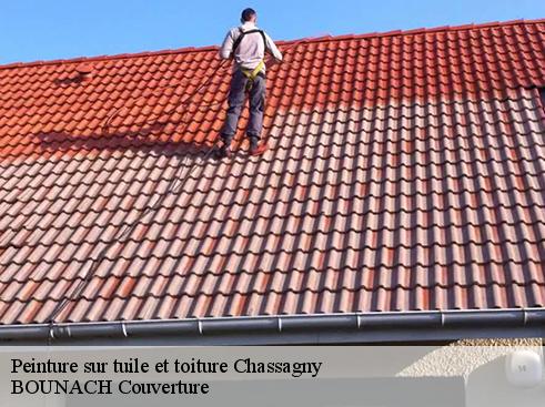 Peinture sur tuile et toiture  chassagny-69700 BOUNACH Couverture 