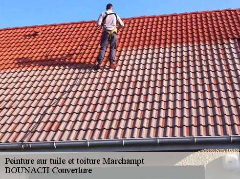 Peinture sur tuile et toiture  marchampt-69430 BOUNACH Couverture 