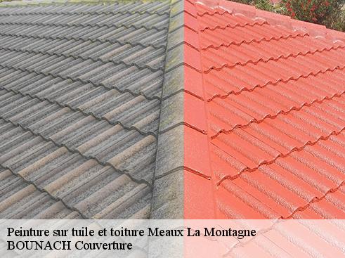 Peinture sur tuile et toiture  meaux-la-montagne-69550 BOUNACH Couverture 