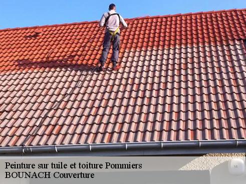 Peinture sur tuile et toiture  pommiers-69480 BOUNACH Couverture 