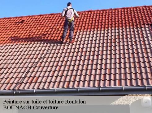 Peinture sur tuile et toiture  rontalon-69510 BOUNACH Couverture 