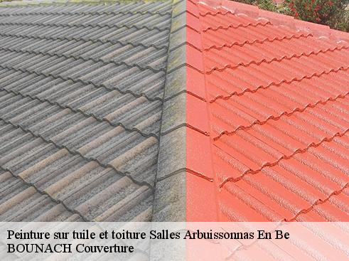 Peinture sur tuile et toiture  salles-arbuissonnas-en-be-69460 BOUNACH Couverture 