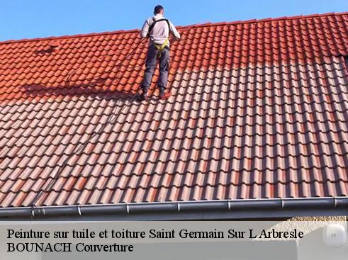 Peinture sur tuile et toiture  saint-germain-sur-l-arbresle-69210 BOUNACH Couverture 