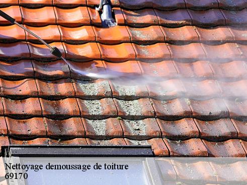 Nettoyage demoussage de toiture  affoux-69170 BOUNACH Couverture 