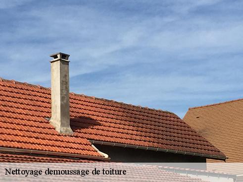 Nettoyage demoussage de toiture  albigny-sur-saone-69250 BOUNACH Couverture 