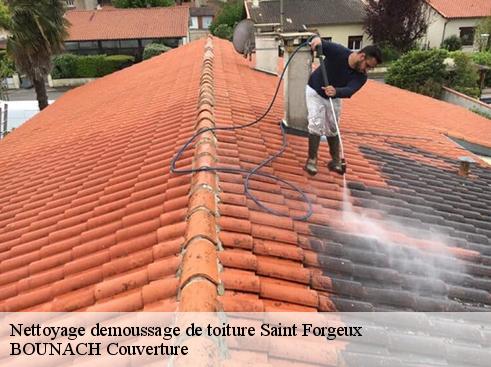 Nettoyage demoussage de toiture  saint-forgeux-69490 BOUNACH Couverture 