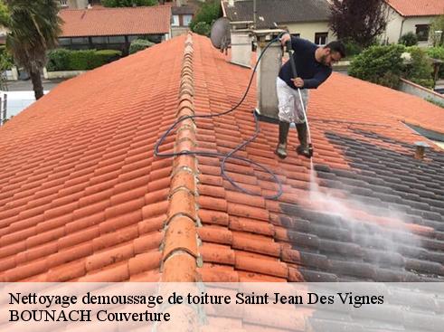 Nettoyage demoussage de toiture  saint-jean-des-vignes-69380 BOUNACH Couverture 