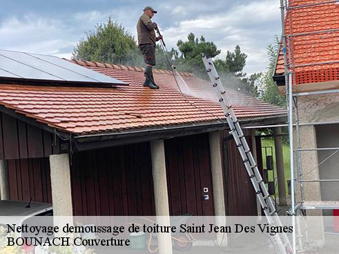 Nettoyage demoussage de toiture  saint-jean-des-vignes-69380 BOUNACH Couverture 