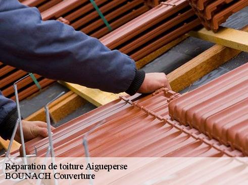 Réparation de toiture  aigueperse-69790 BOUNACH Couverture 