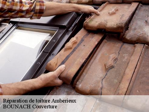 Réparation de toiture  amberieux-69480 BOUNACH Couverture 