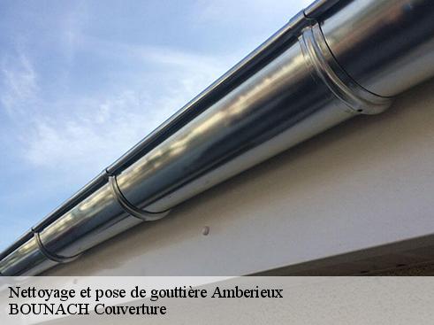 Nettoyage et pose de gouttière  amberieux-69480 BOUNACH Couverture 