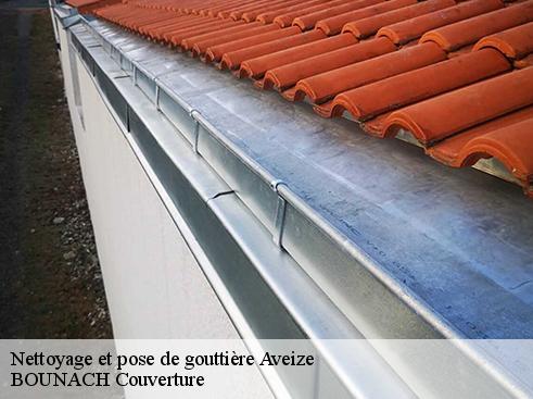 Nettoyage et pose de gouttière  aveize-69610 BOUNACH Couverture 