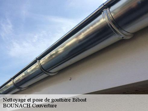 Nettoyage et pose de gouttière  bibost-69690 BOUNACH Couverture 