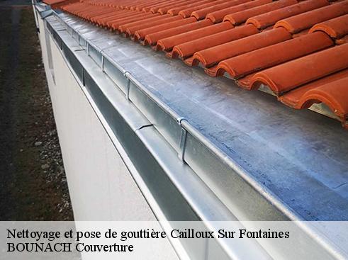 Nettoyage et pose de gouttière  cailloux-sur-fontaines-69270 BOUNACH Couverture 