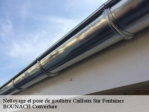 Nettoyage et pose de gouttière  cailloux-sur-fontaines-69270 BOUNACH Couverture 