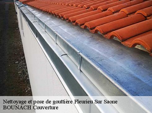 Nettoyage et pose de gouttière  fleurieu-sur-saone-69250 BOUNACH Couverture 