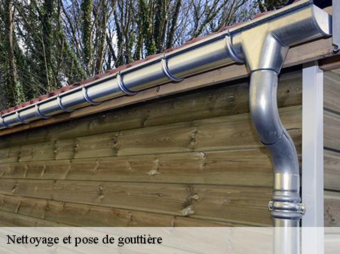 Nettoyage et pose de gouttière grigny-69520 BOUHNACH Couverture