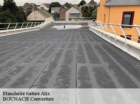 Etanchéité toiture  alix-69380 BOUNACH Couverture 