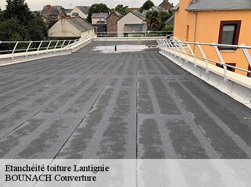 Etanchéité toiture  lantignie-69430 BOUNACH Couverture 