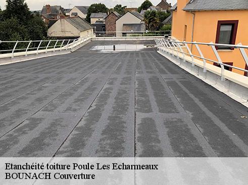 Etanchéité toiture  poule-les-echarmeaux-69870 BOUNACH Couverture 